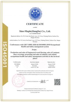 ISO45001
